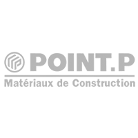 Point P