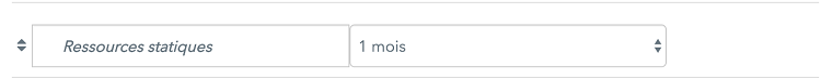 Mise en cache d'une ressource statique versionnée