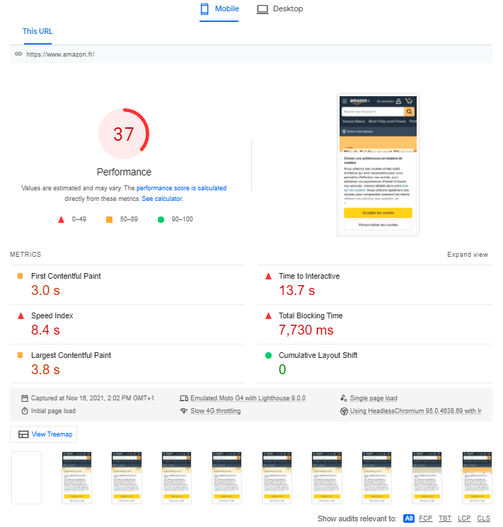 Google PageSpeed Inisghts : Lab data