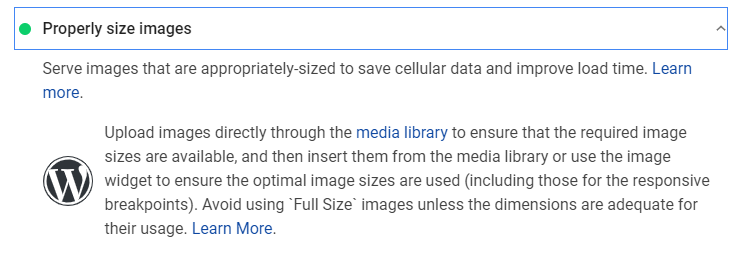 PageSpeed Insights - Test WordPress - Images optimization