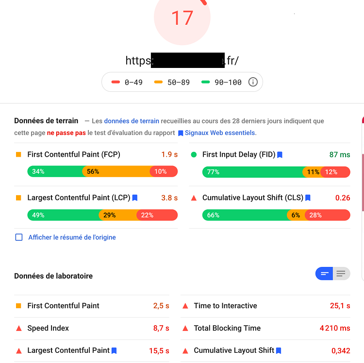 Google PageSpeed Insights : test du score Lighthouse