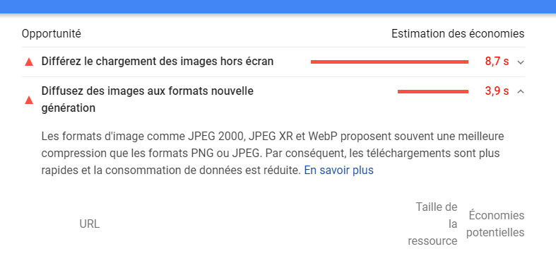 Recommandation Google Lighthouse / PageSpeed - Format d'image WebP