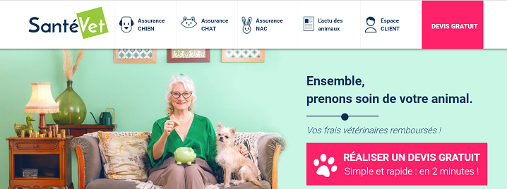 Etude de cas Web Performance E-commerce : SantéVet
