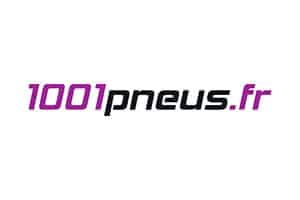 Logo 1001 Pneus