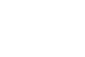 Logo Conforama blanc