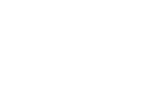 Logo GoSport blanc