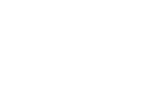 Logo SanteVet blanc