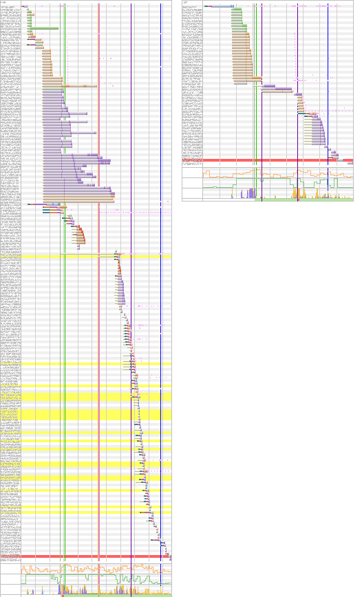 waterfall third parties webperf