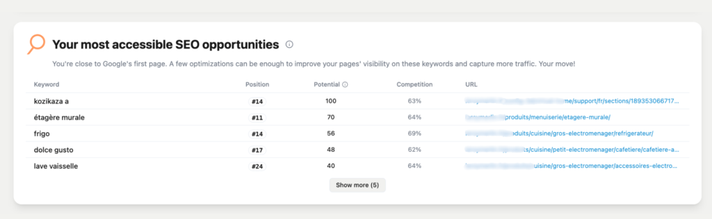 SEO opportunities