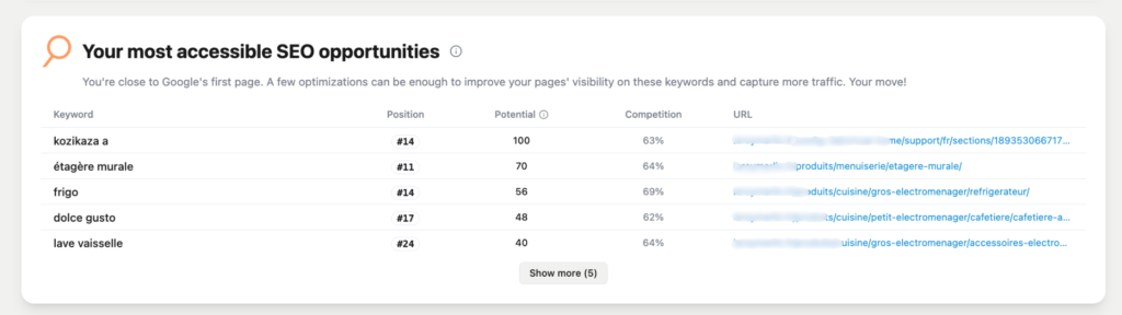 SEO opportunities