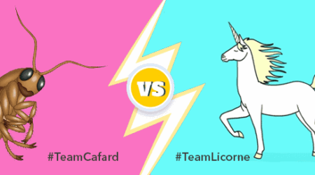cafard-ou-licorne